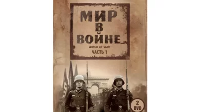 Photo of Фильмы о войне: истории мужества и любви