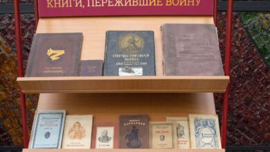 Photo of Фильмы о преодолении: истории успеха и победы