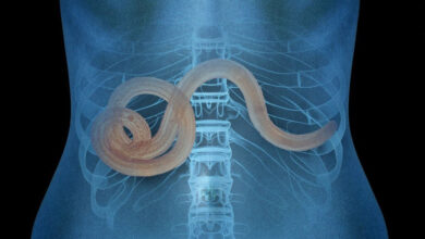 Photo of Фильм «Паразиты» — разбор победы на «Оскаре» и его значение