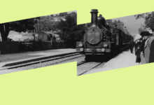 Photo of Топ-5 документальных фильмов о природе и животных