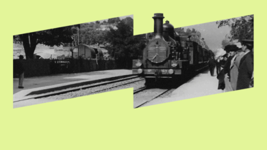 Photo of Топ-5 документальных фильмов о природе и животных