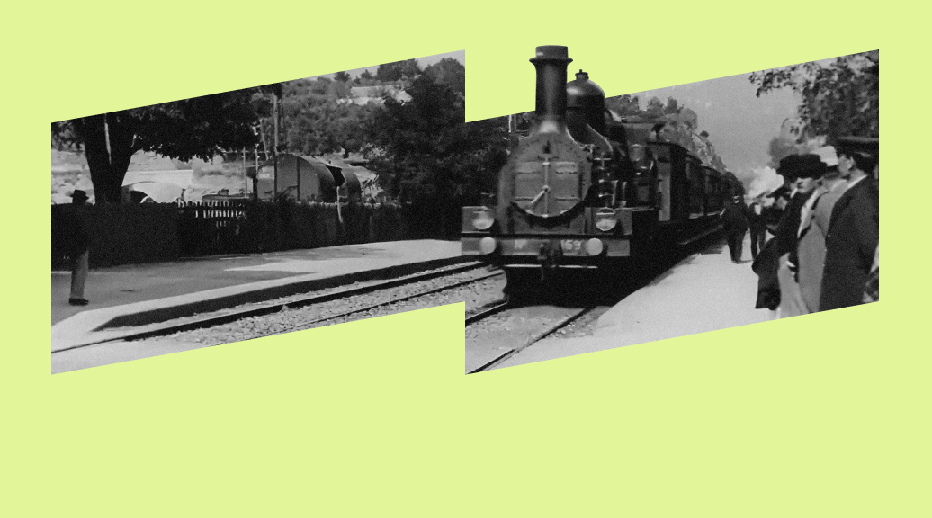 Фото 74 — Топ-5 документальных фильмов о природе и животных