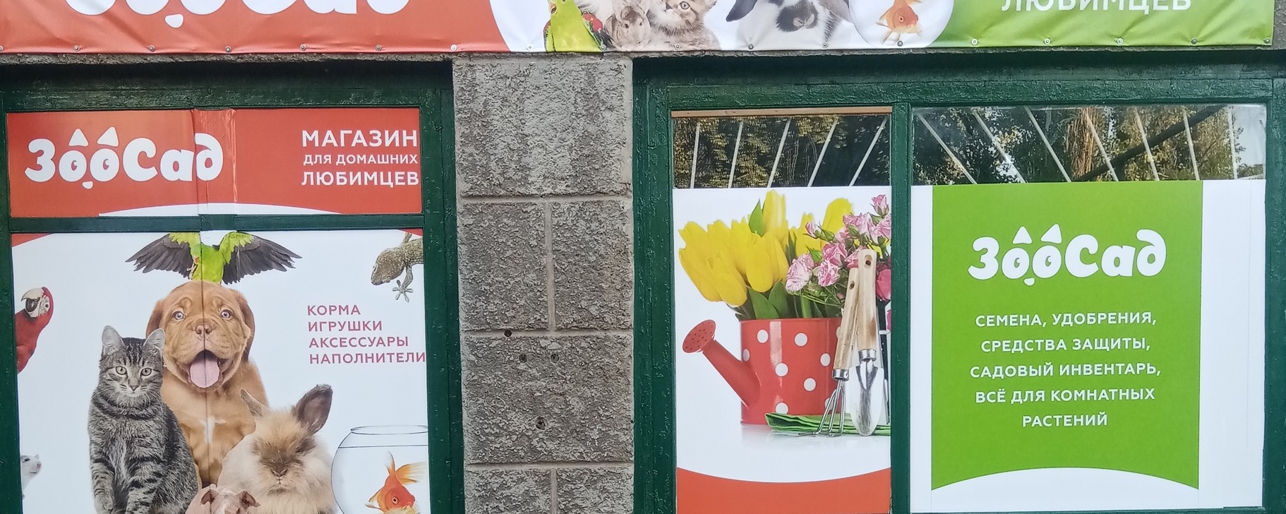 Фото 21 — Фильмы о животных: выбор для любителей пушистых и пернатых друзей